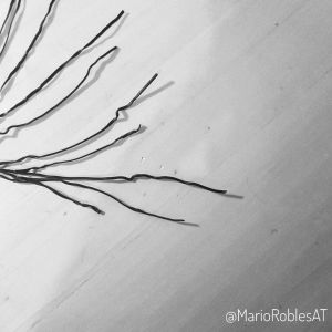 IMG_20181001_220852_998