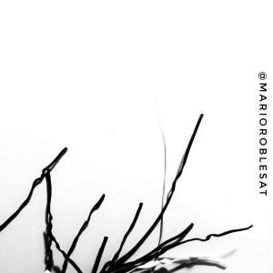 IMG_20181001_220904_314